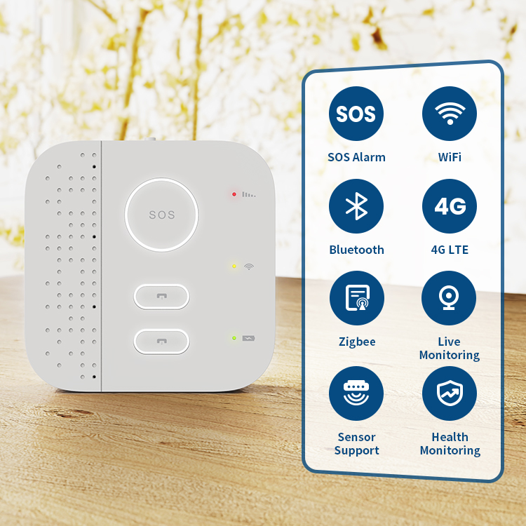 Sistema di monitoraggio domest - Home Security For Seniors recensione e prezzo