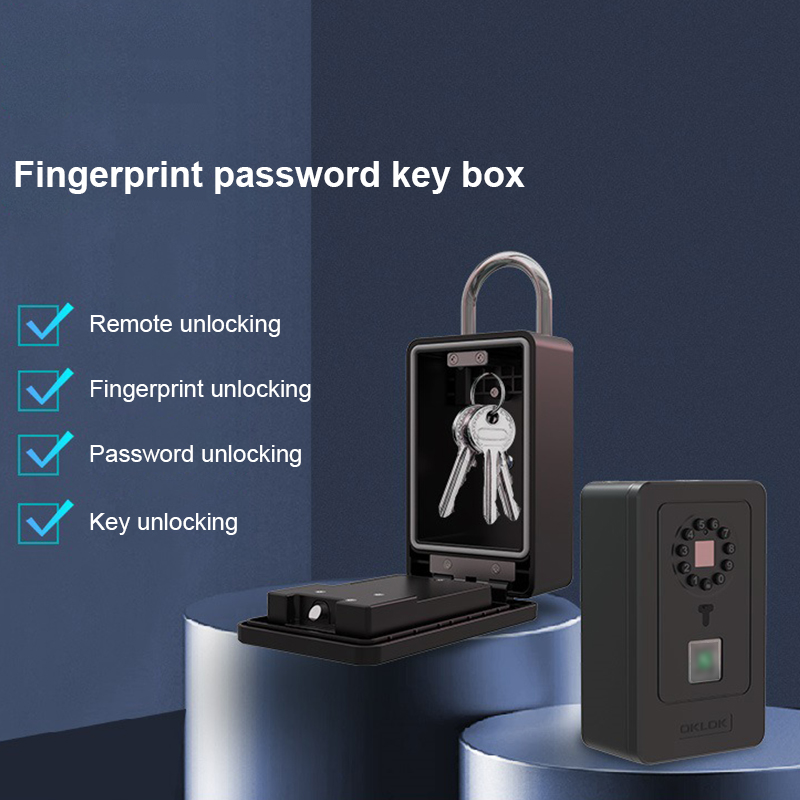 Cassetta di Sicurezza Intellig - Home Security Door recensione e prezzo