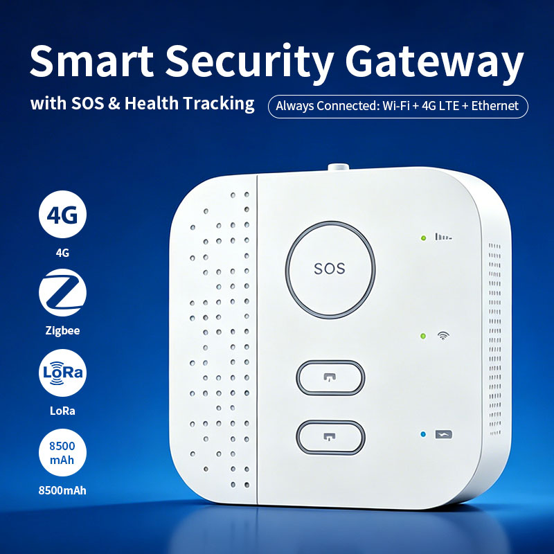 Gateway di Sicurezza per la Ca - Home Security For Seniors recensione e prezzo